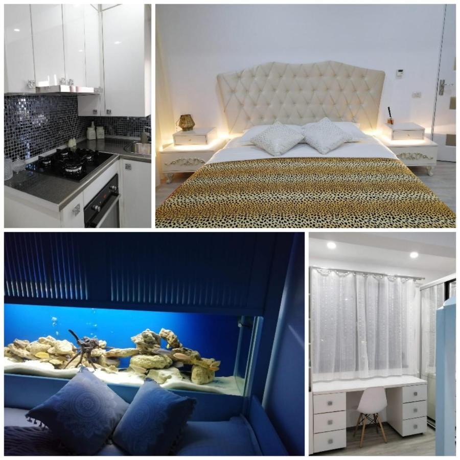 Nemo Apartment Năvodari Zewnętrze zdjęcie